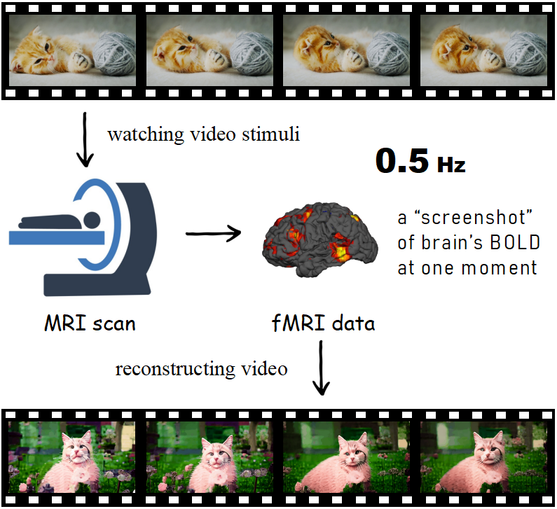 fMRI