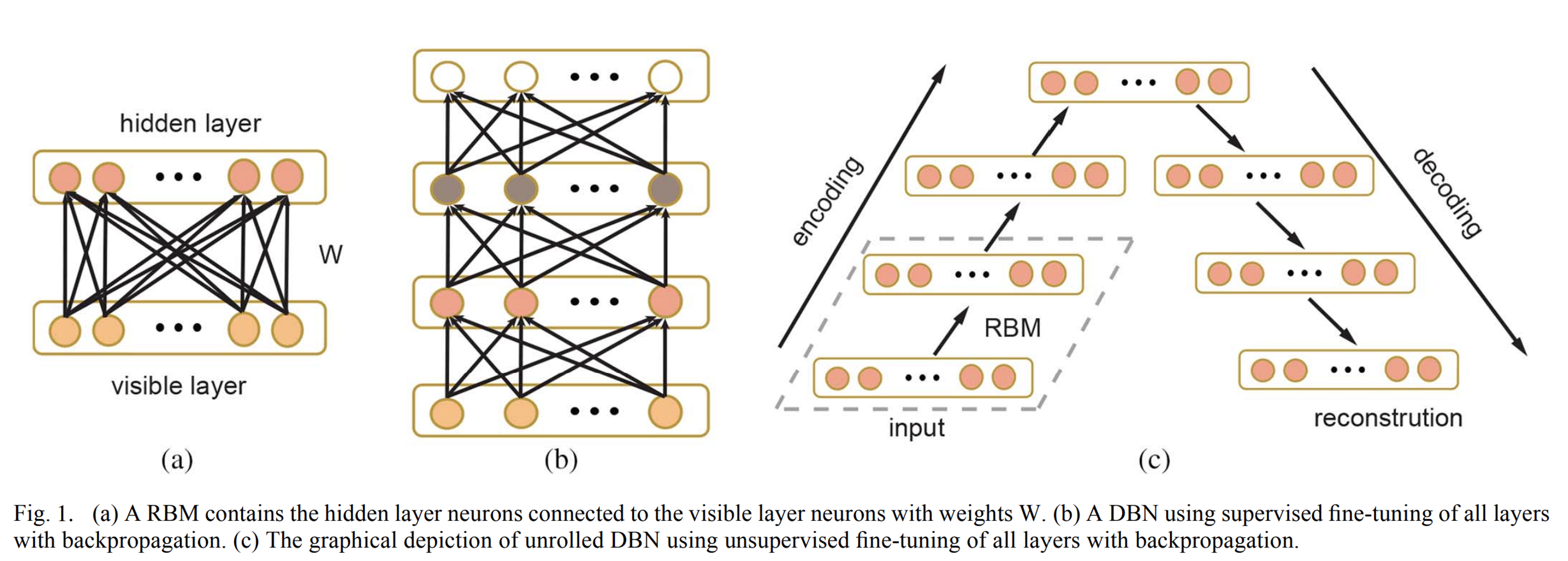 B-mode - RCEMLearning India